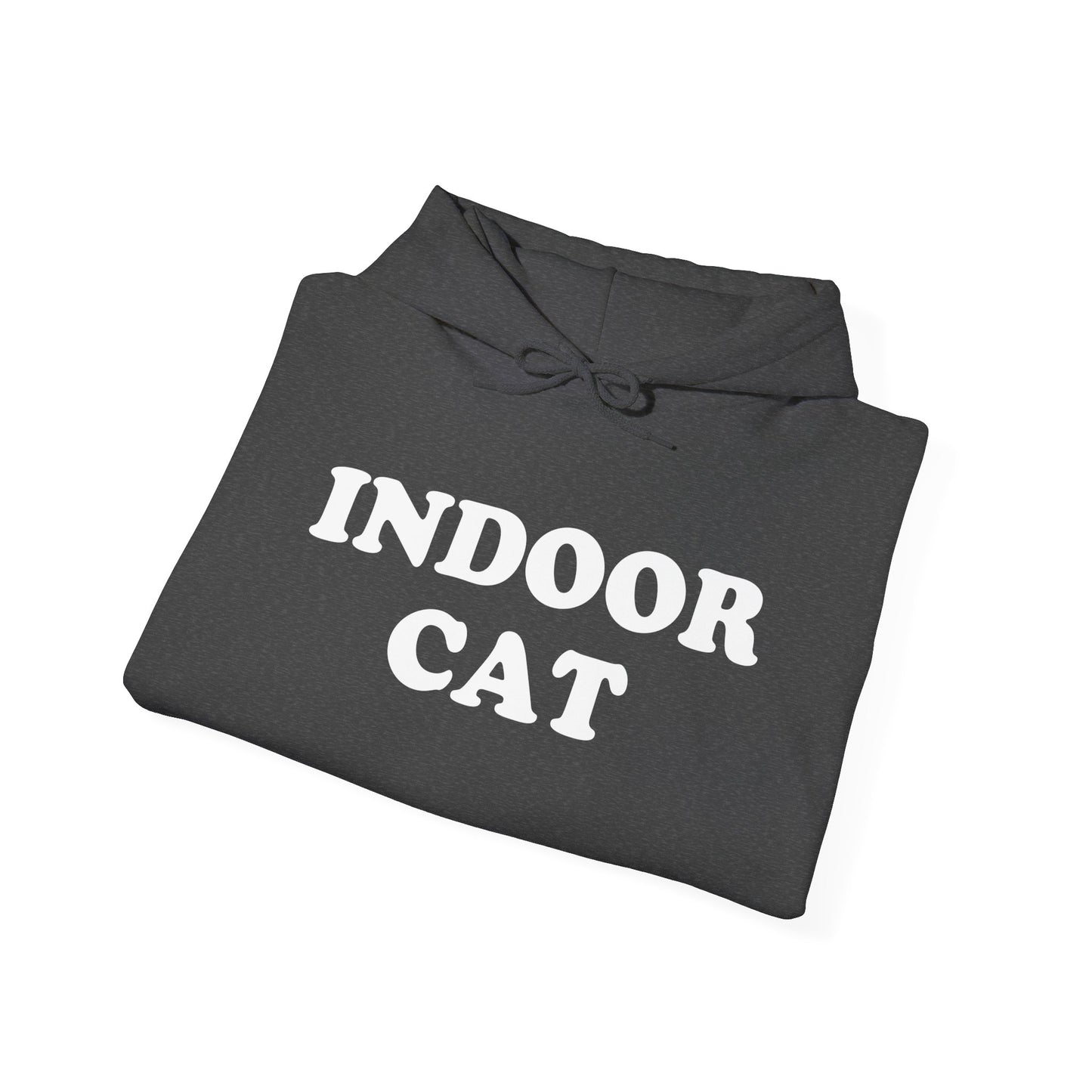 INDOOR CAT Hoodie