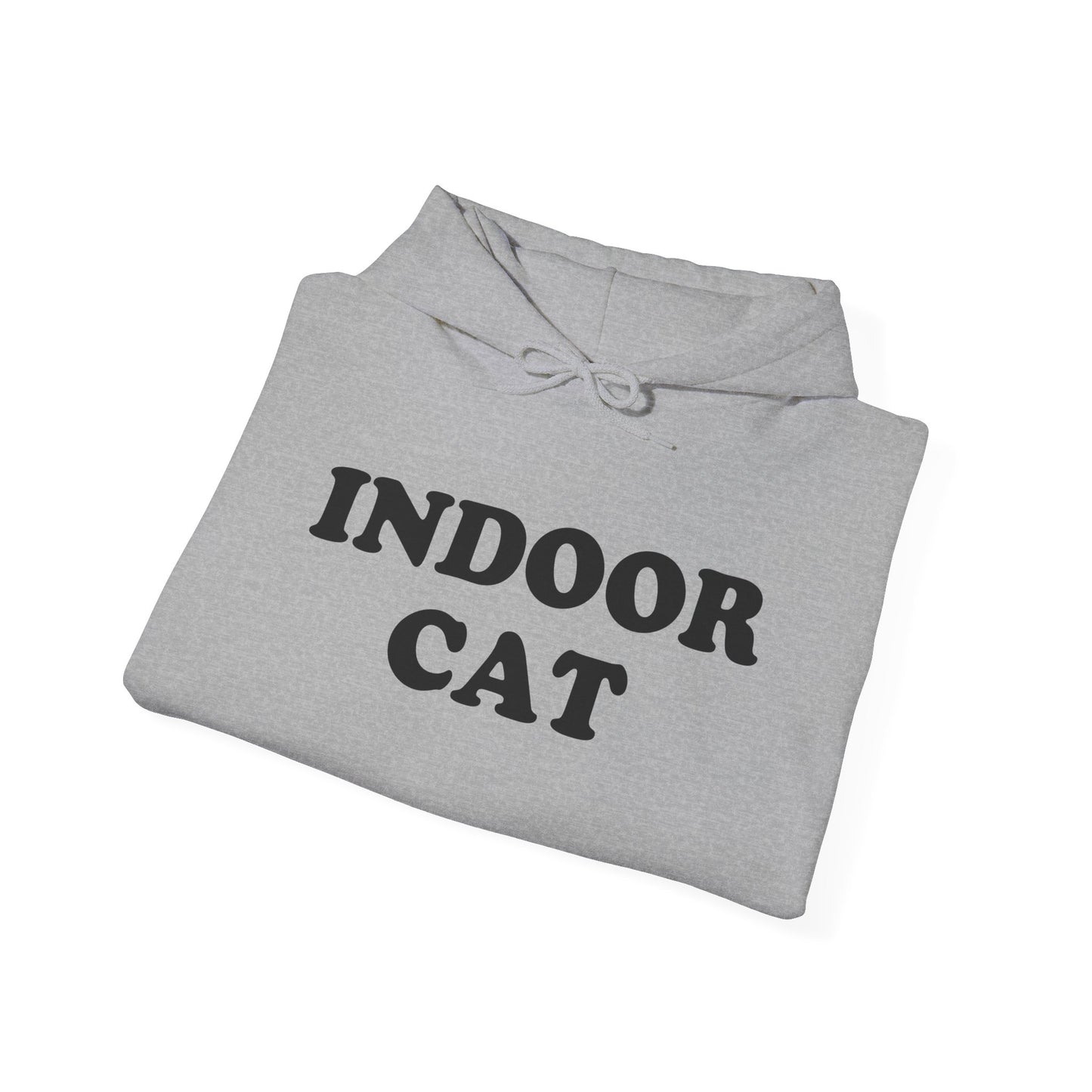 INDOOR CAT Hoodie